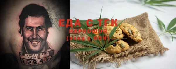 индика Алексин