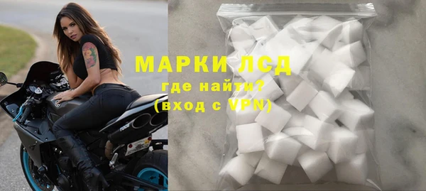 индика Алексин