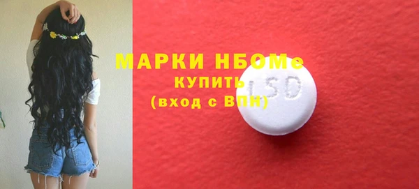 индика Алексин