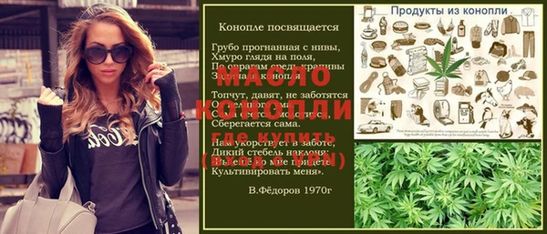 индика Алексин