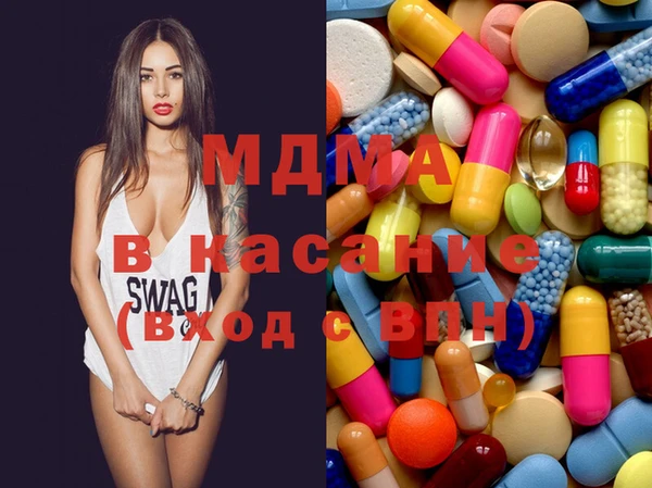 индика Алексин