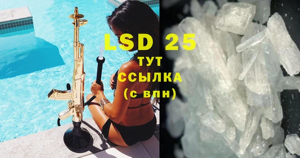 индика Алексин