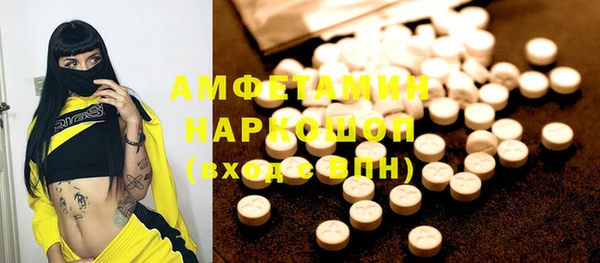индика Алексин