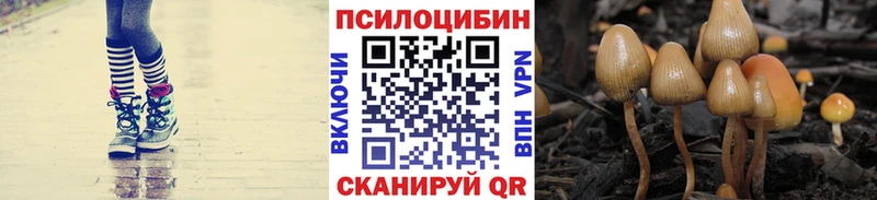 гидра вход  Октябрьск  Псилоцибиновые грибы мухоморы 